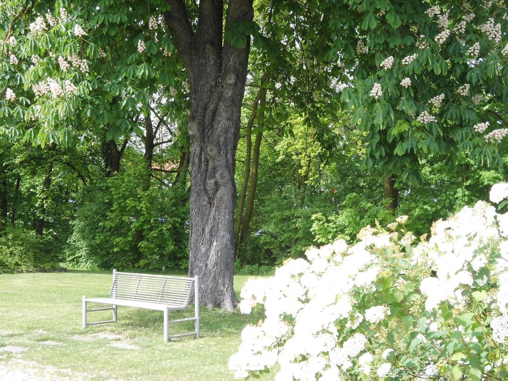 Gasthof Haus Am Bach - Gemütliche 2*