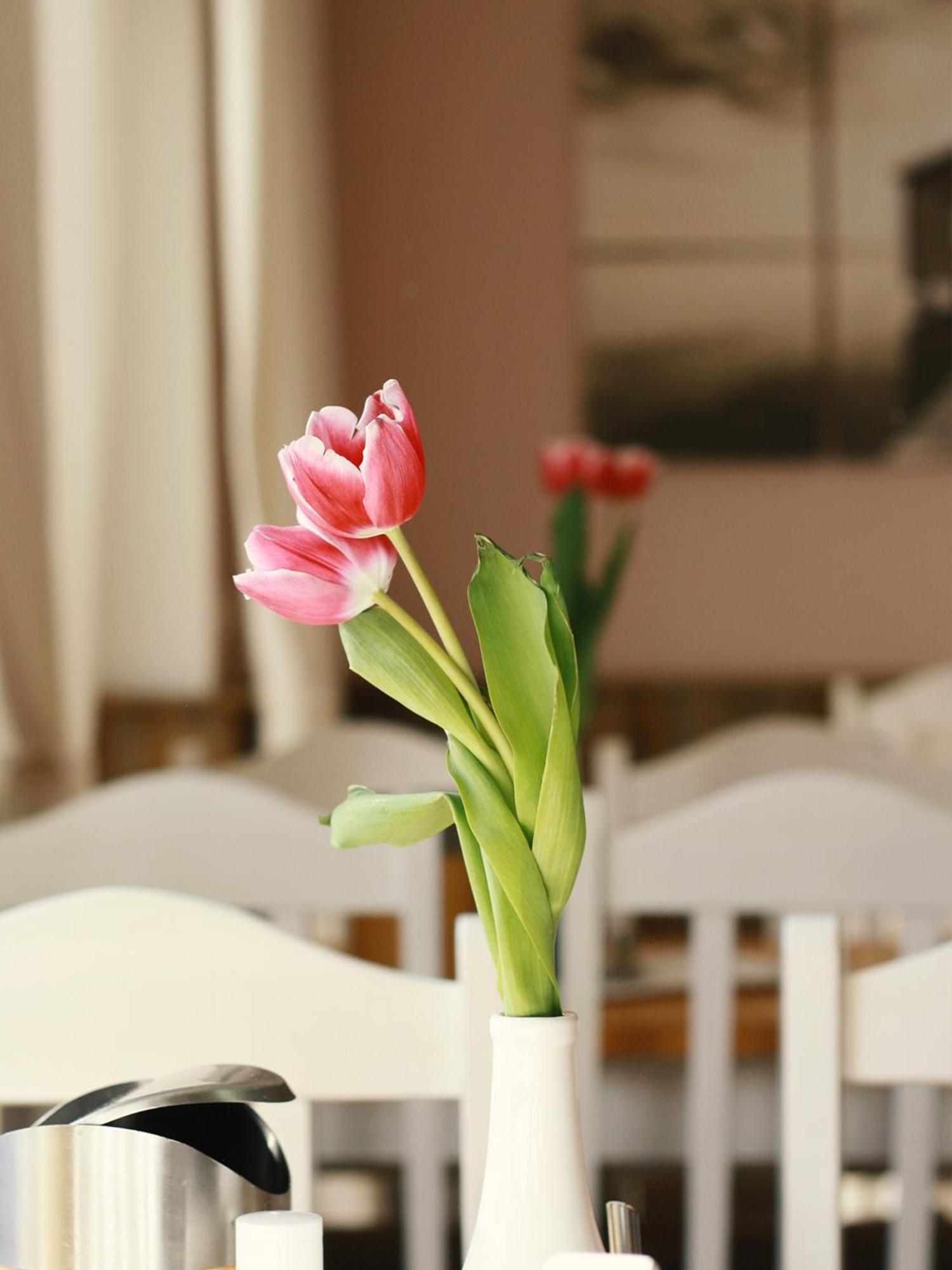 Guest house Haus Am Bach - Gemuetliche Pension 2*